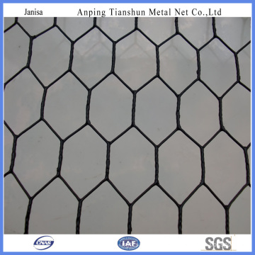 PVC Coated Galvanized Chicken Wire Mesh (TS-J002)